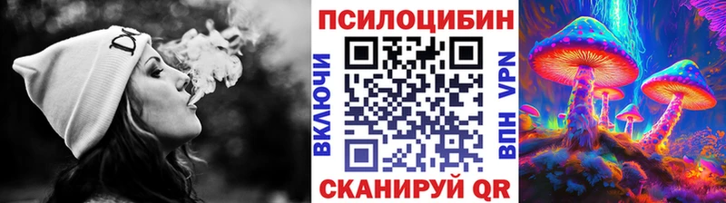 Псилоцибиновые грибы Psilocybine cubensis  omg сайт  Инсар 
